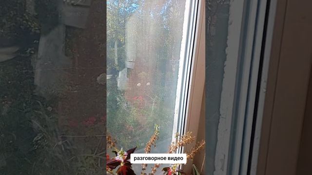 Утречко КОФИЕК