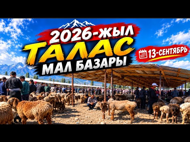 Талас мал базары 13-сентярь