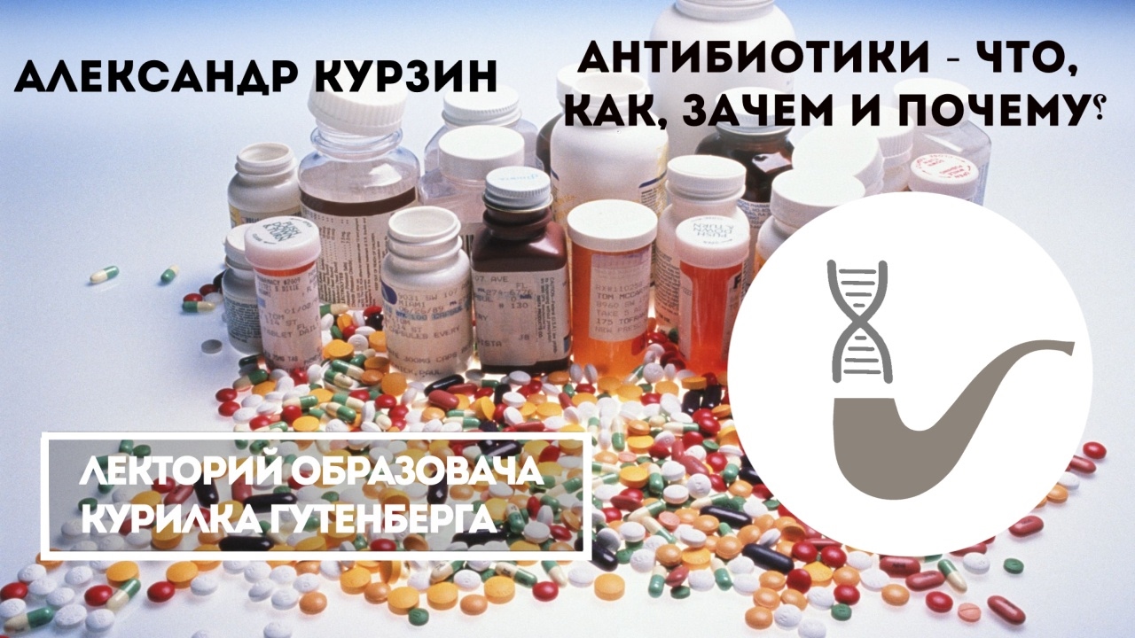 Александр Курзин - Что такое антибиотики