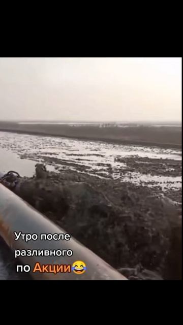 валит 