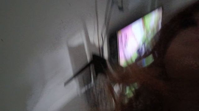 я одна дома/мира шоу