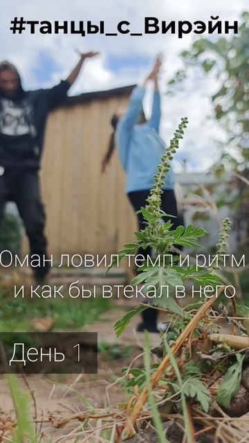 Танцы_с_Вирэйн День 1. Вирэйн Inside