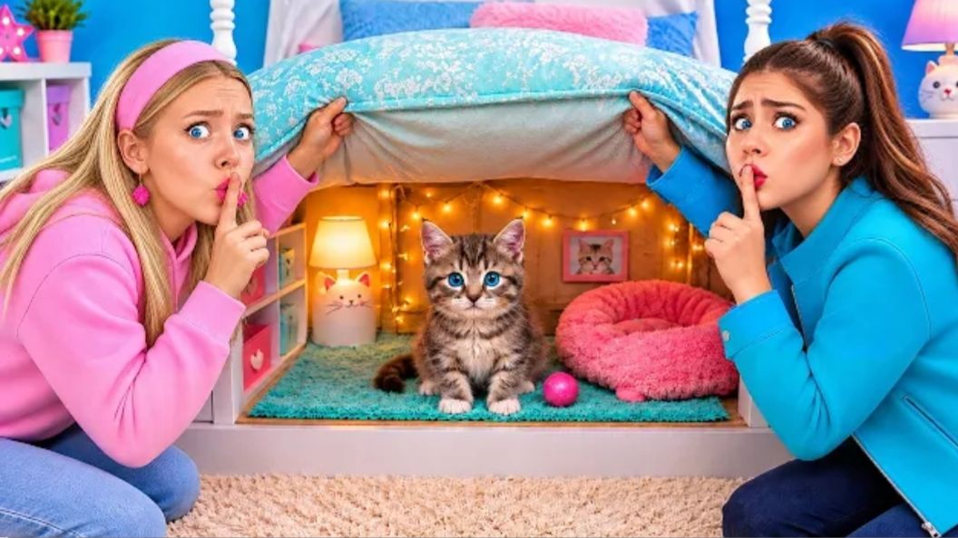 Как Спрятать Кота от Родителей  Строим Секретную Комнату