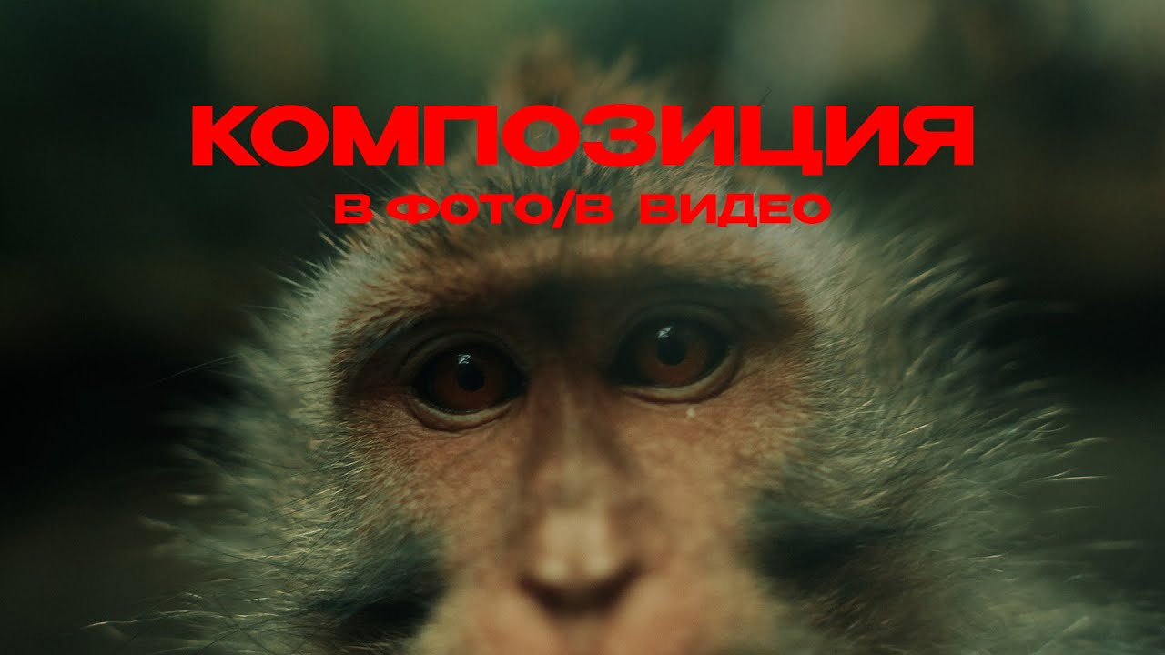 КОМПОЗИЦИЯ в видео и фото.