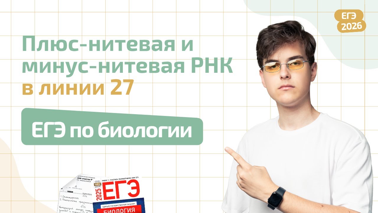 НОВЫЙ ТИП ЗАДАЧ В ЛИНИИ 27 ЕГЭ ПО БИОЛОГИИ  ПЛЮС-НИТЕВАЯ И МИНУС-НИТЕВАЯ РНК