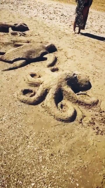 море пляж Анапа красота