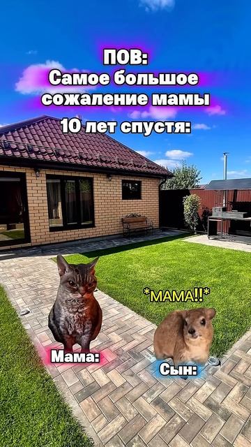 Фатальная ошибка котята мемы жиза шортс