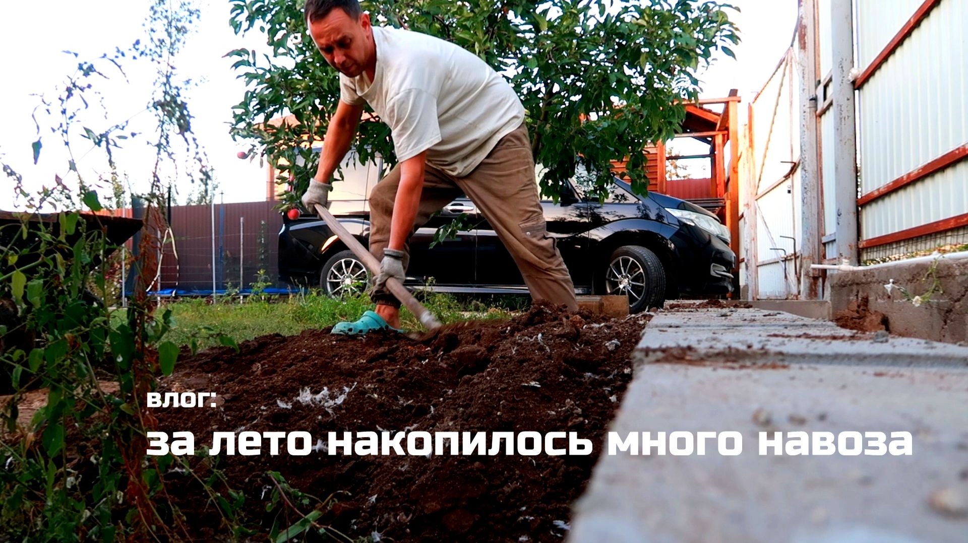 ОНИ ВСЕ ЛЕТО СРЛИ  А ОСЕНЬЮ Я УБИРАЮ  Придумал схему ЛУЧШЕЕ УДОБРЕНИЕ НА УЧАСТОК