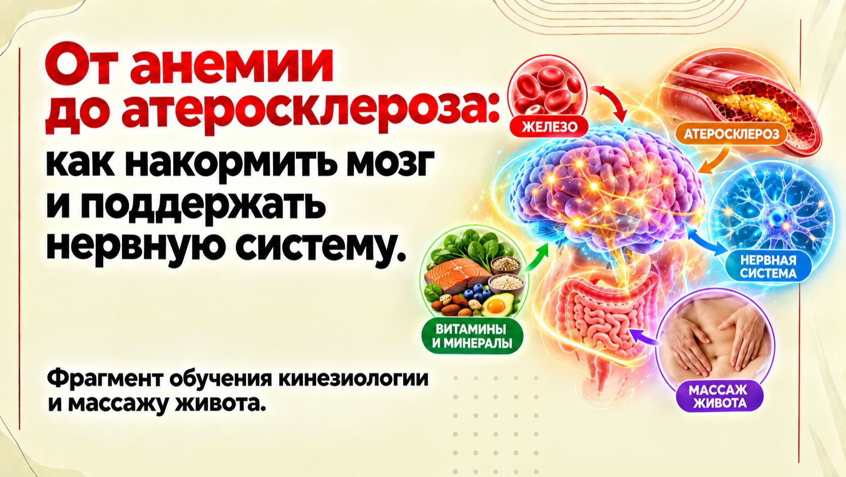 От анемии до атеросклероза:  как накормить мозг и поддержать нервную систему. Фрагмент обучения