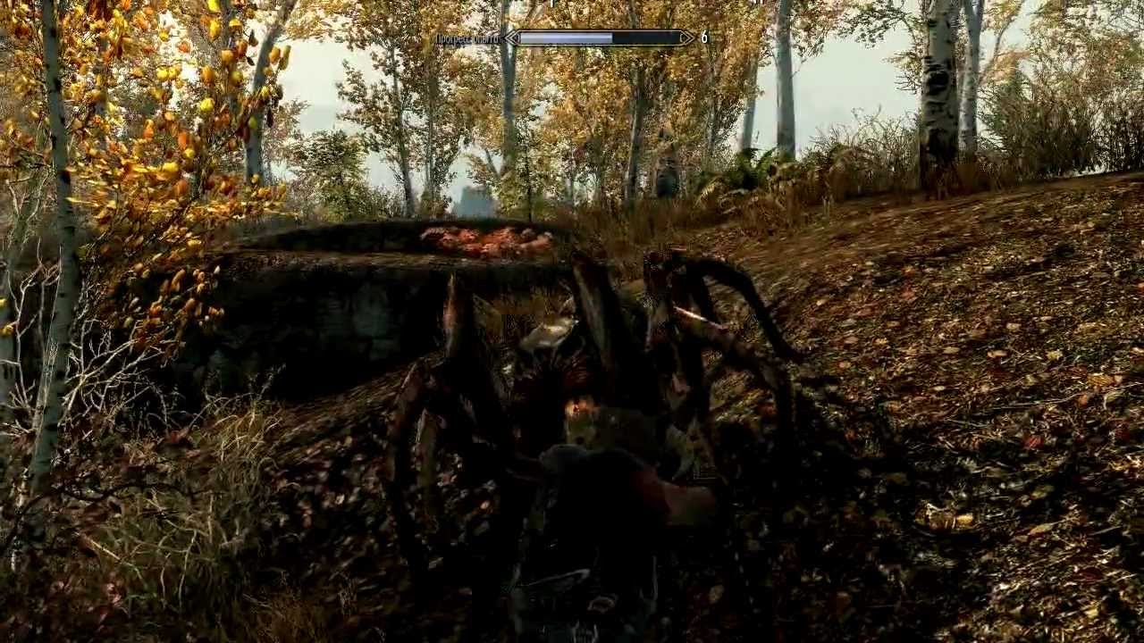 Альтернативное мнение (2) SKYRIM