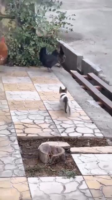 Охотник