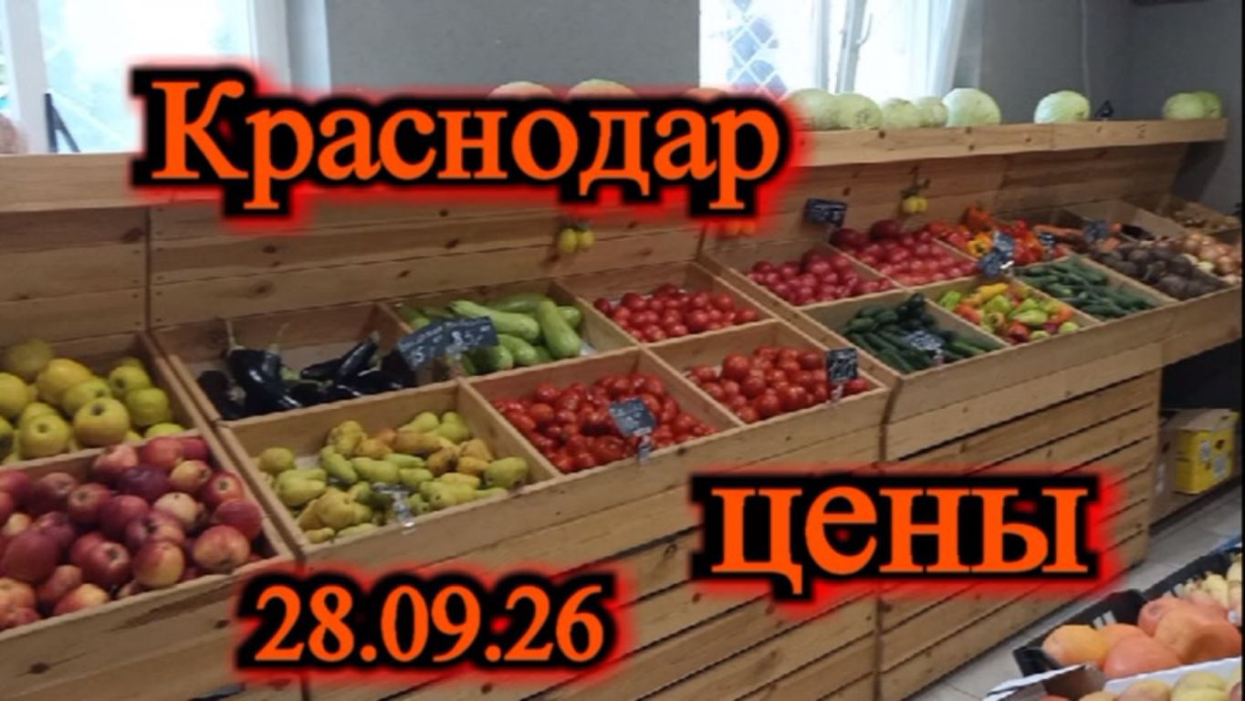 КАКИЕ ЦЕНЫ В КРАСНОДАРЕ СЕНТЯБРЬ 2026 ГОД
