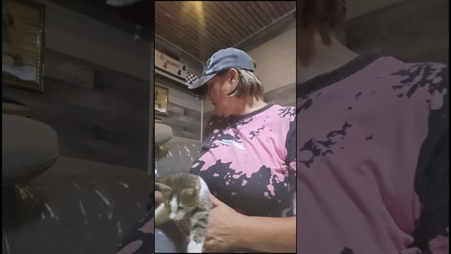 Показываю котёнка с вылеченным глазом обзор кошек и аптечки