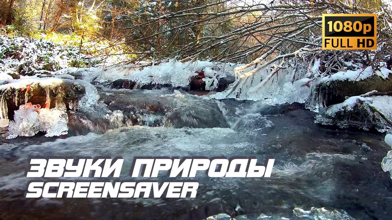 Живая природа - Река | Зима | Звуки природы | Звуки реки | Отдых | Релакс | Антистресс | Заставка ТВ