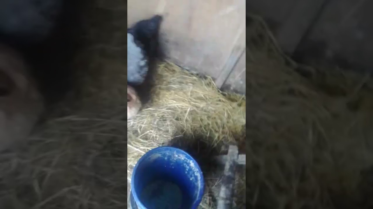 связь прервалась. Добрый вечер