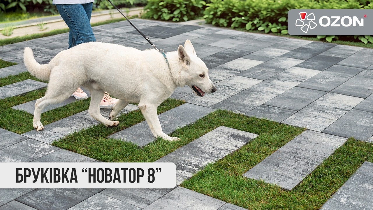 Бруківка Новатор 8 OZON