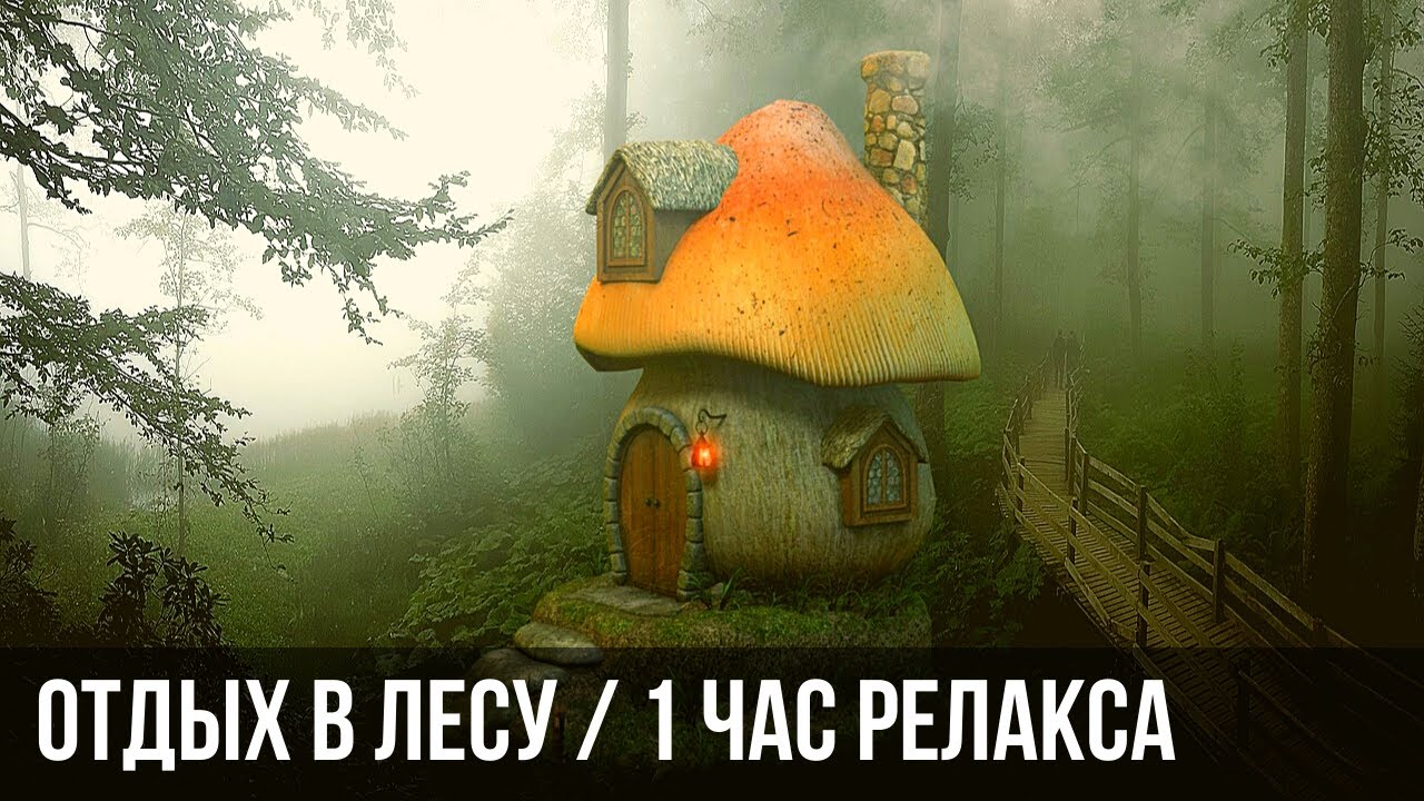 Отдых в лесу. Дикие певчие птицы  Rest in the forest
