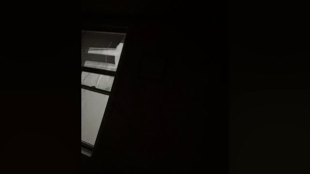 65 Случаев, Когда Природа Сошла с Ума (1)