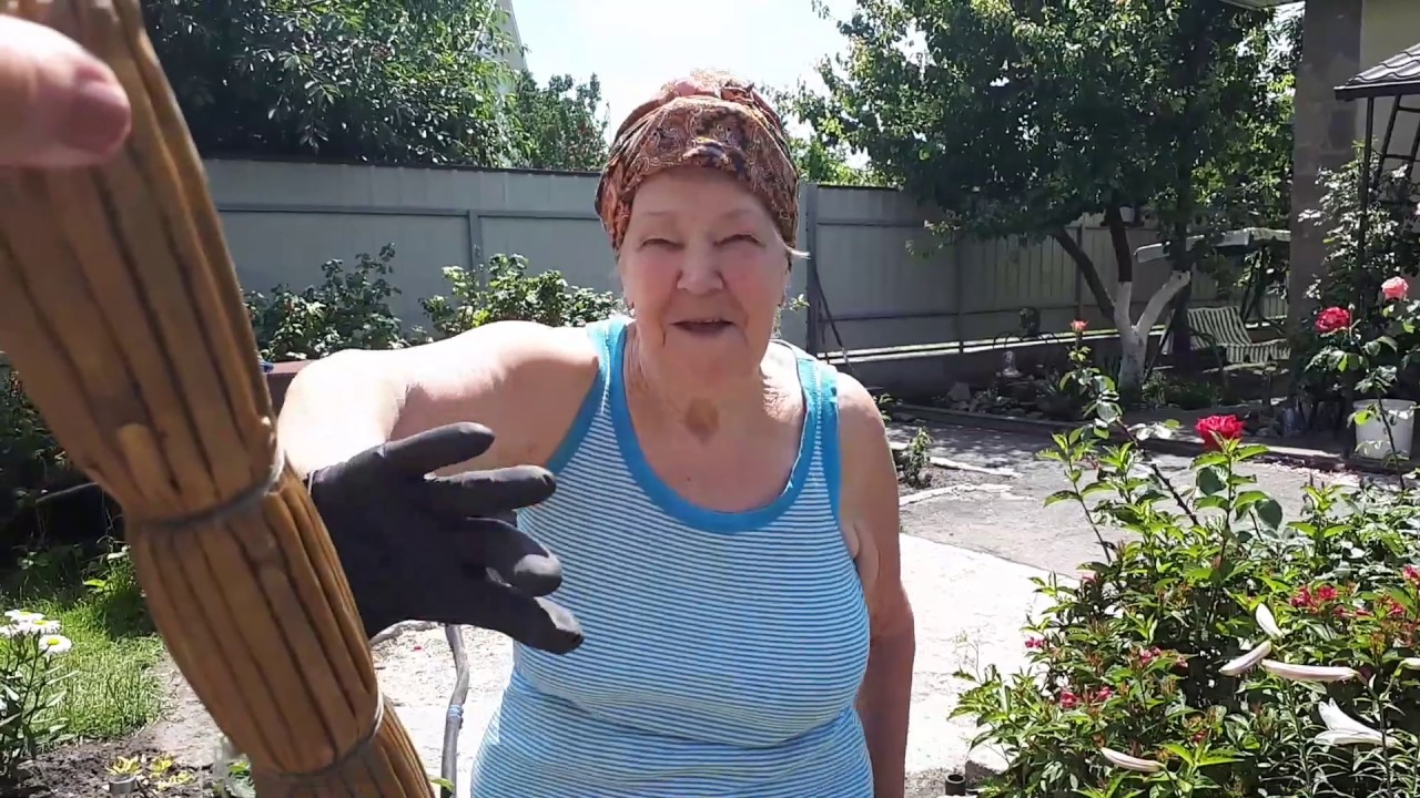 ГУСЬ ОСТАЛСЯ БЕЗ ГОЛОВЫ МАМА ХОЗЯЙНИЧАЕТ