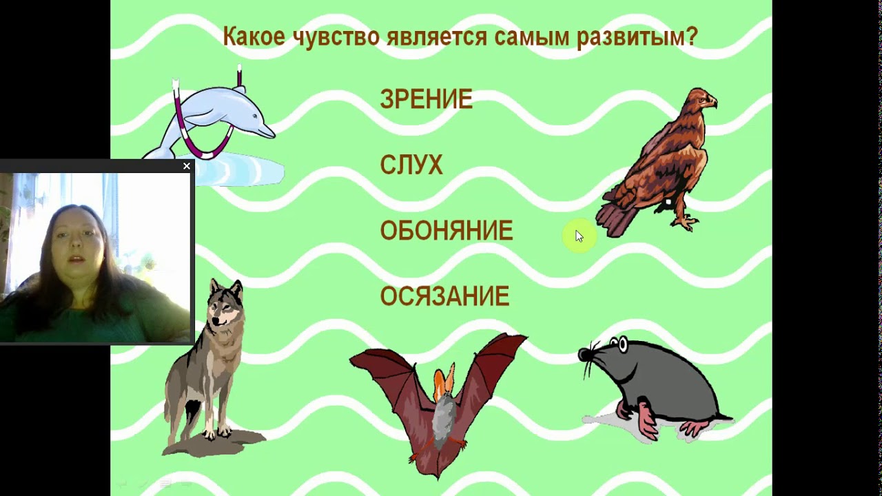 Технология 5 класс