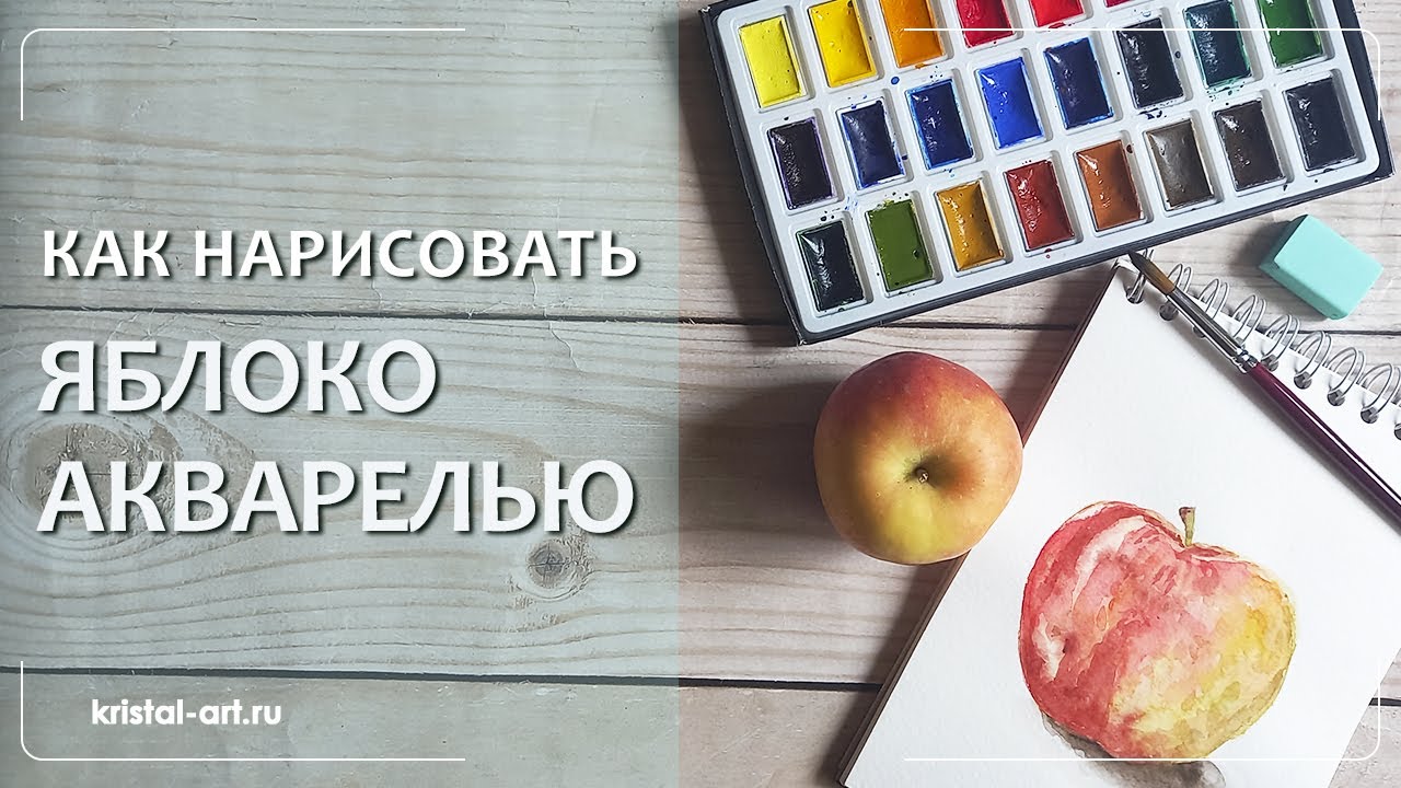 Как нарисовать яблоко акварелью. Для начинающих watercolor акварель яблоко