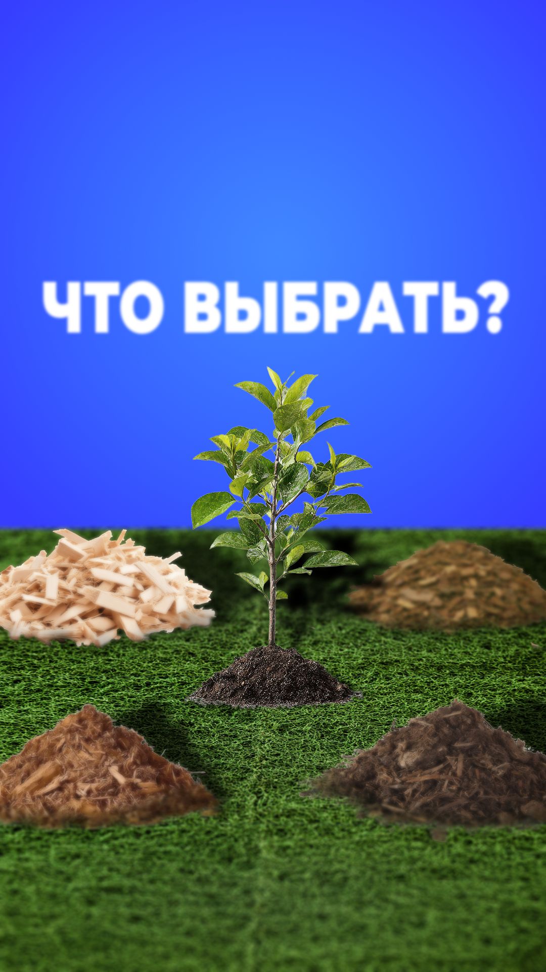 Разница коры