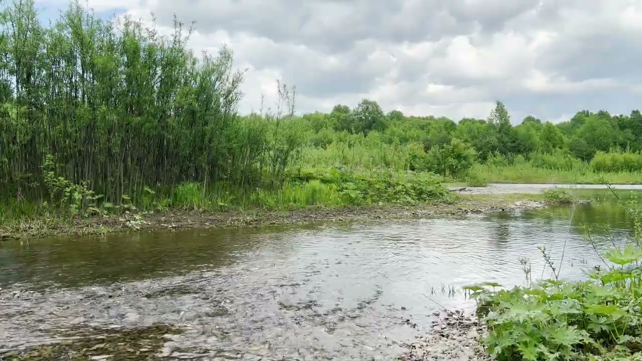 звуки природы и пейзаж в 4К для спокойствия и расслабления
