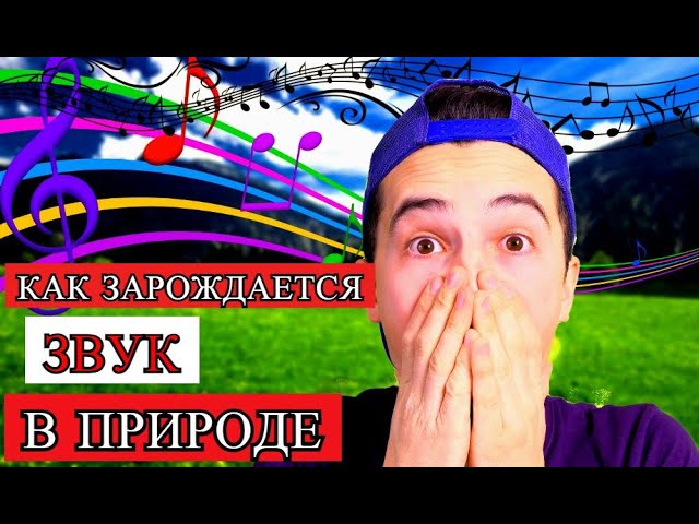 ВЫ узнаете есть ли МУЗЫКА в ПРИРОДЕ  Происхождение звуков в окружающей среде  ЭкоДзен
