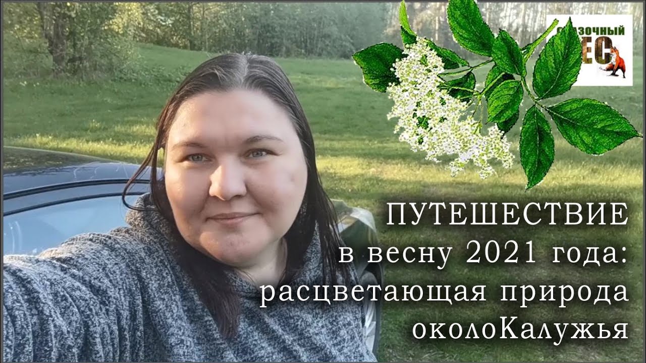 ПУТЕШЕСТВИЕ в весну: расцветающая природа околоКалужьяСКАЗОЧНЫЙ ЛЕС