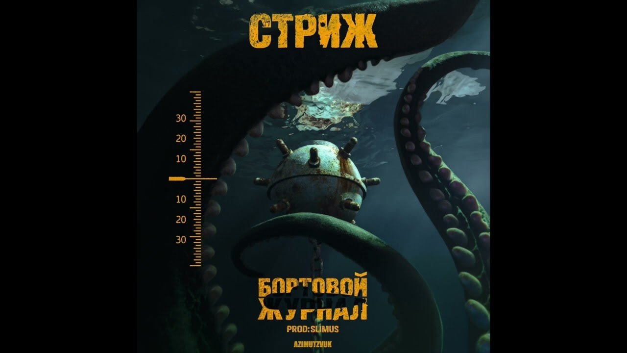 SLIMUS Бразилец Стриж Murovei  Зебра альбом Бортовой журнал