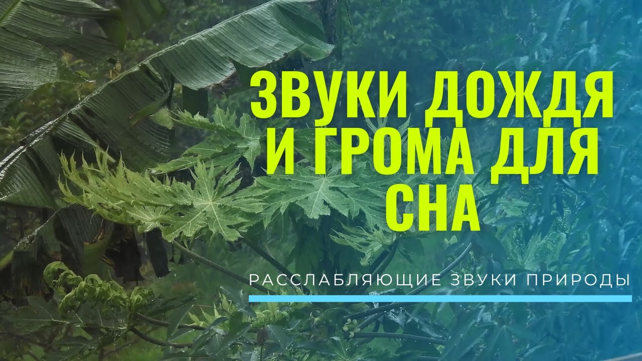 Звуки дождя и грома для сна Расслабляющие звуки природы