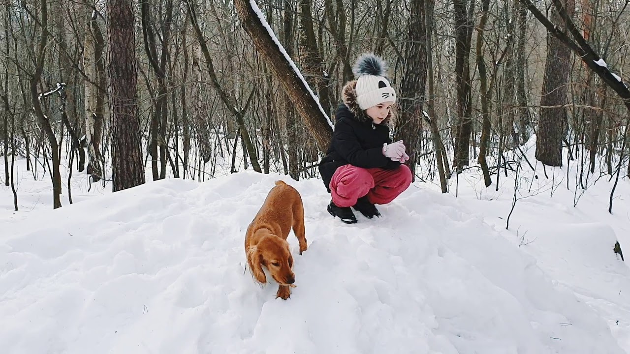 Лес в снегу это наша стихия 