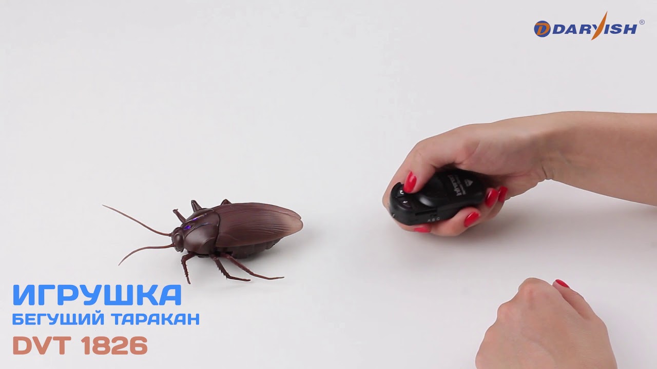 Бегущий таракан. Игрушка DV-T-1826