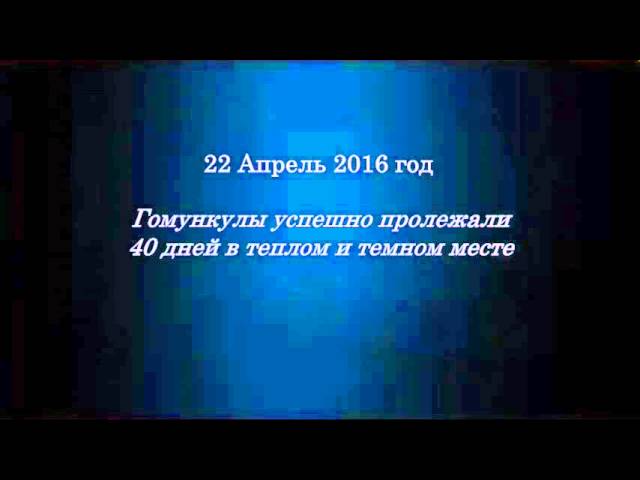 Можно ли вырастить Гомункула? Мой эксперимент 200 дней