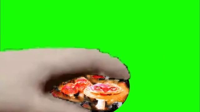 Рука гладит Тигроmushroom на зеленом фоне хромакей P.S. не знаю кому это надо.