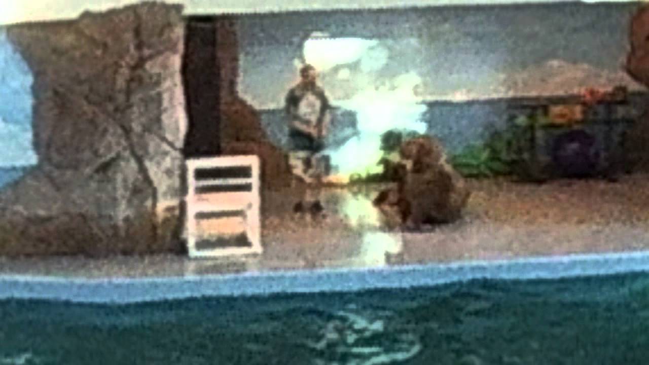 Морж поёт свою песню
