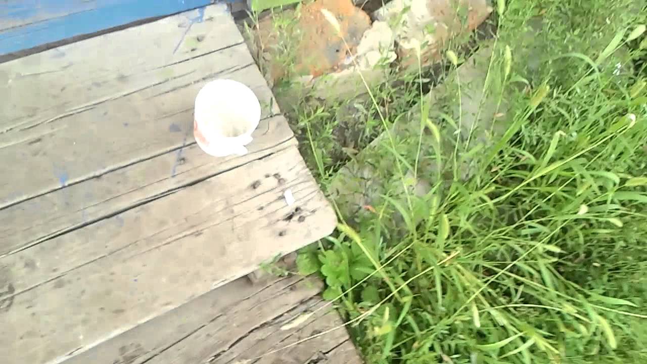 Спящий друг.mp4