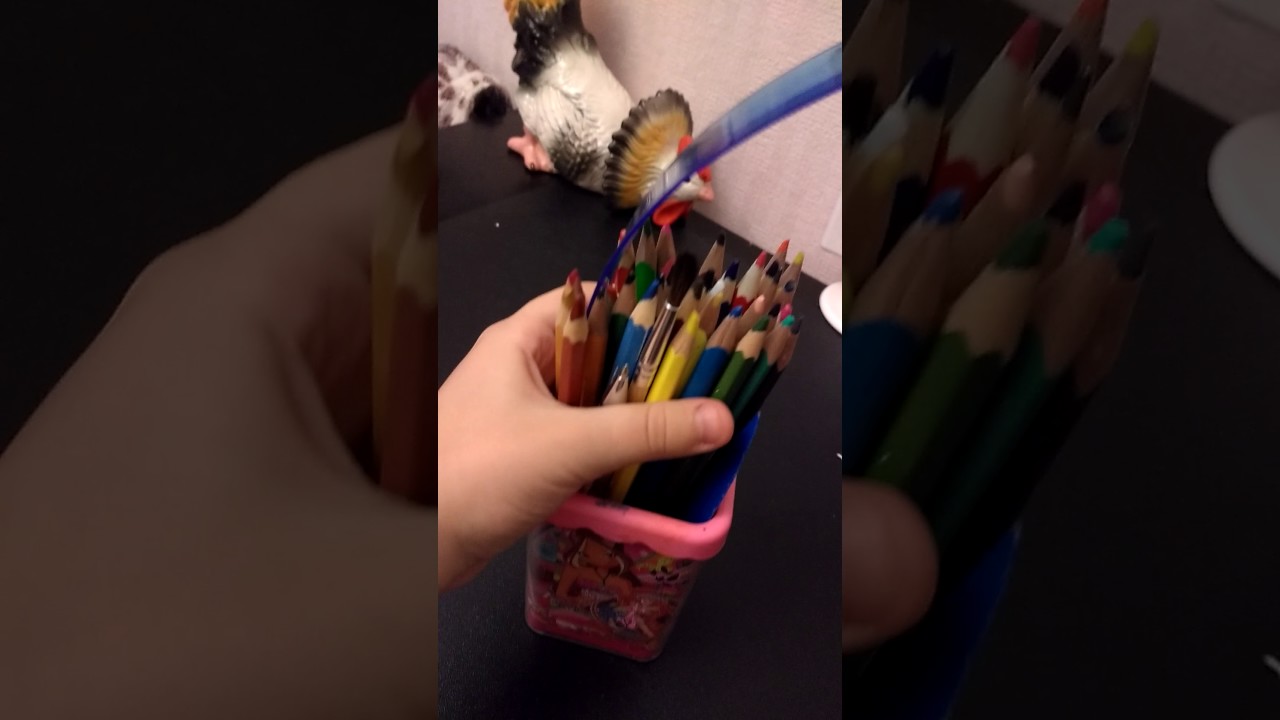 Что на моем столе