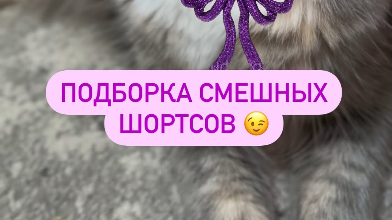 Подборка смешных шортсов подписывайся и ставь лайк  подниму твое настроение 