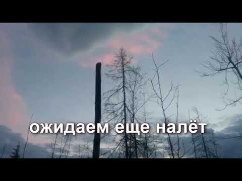 Весна 2016. Охота на вальдшнепа на тяге