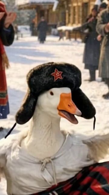гусь веселит народ