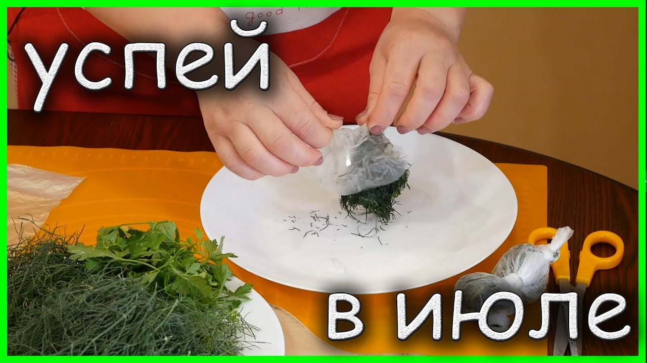 УСПЕЙ СДЕЛАТЬ ЭТО В ИЮЛЕ!!! ОЧЕНЬ удобный способ заготовить ЗЕЛЕНЬ на зиму!!!