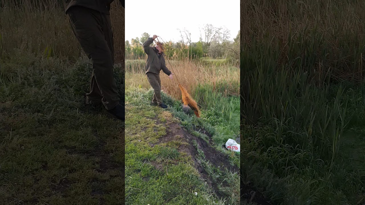 Рыбалка парашутом на хищника!