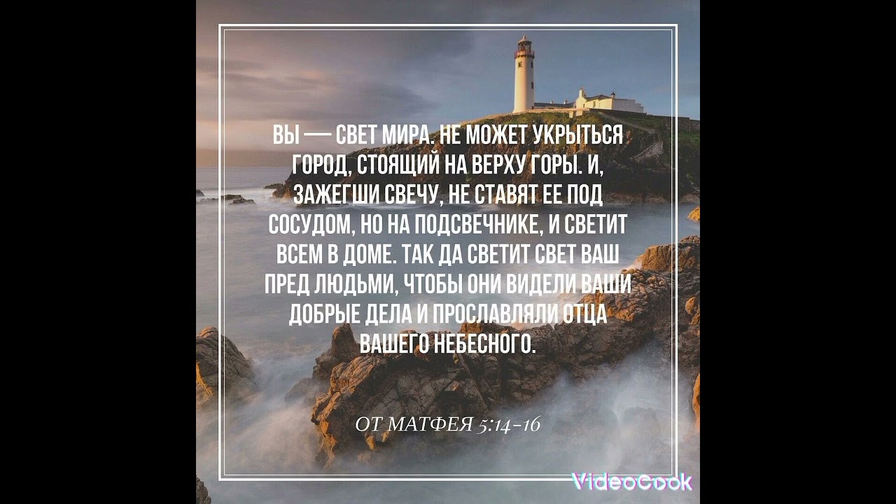 Средь ночного мрака в мире слышен крик