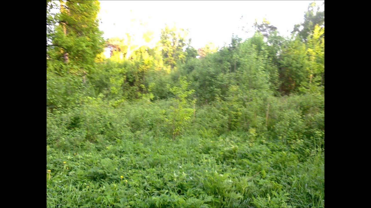 Май 24 2013