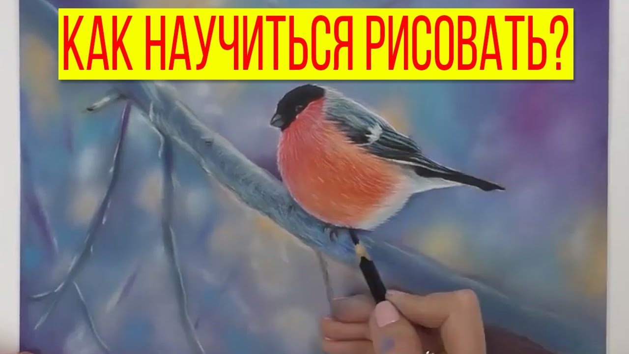Как Научиться Рисовать Рисунки