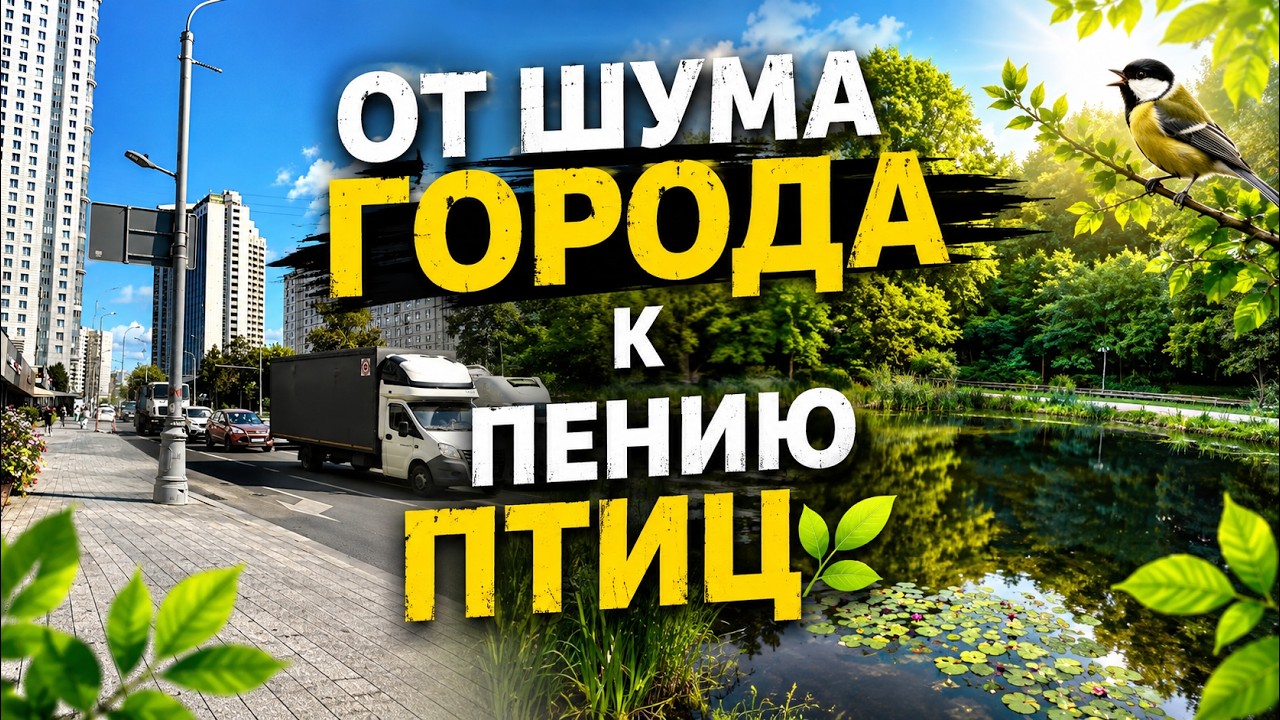  От шума города к пению птиц  Прогулка по Сокольникам Москва