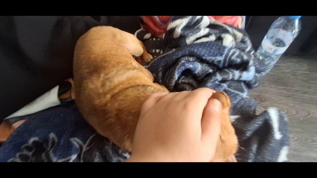 мой обысный день