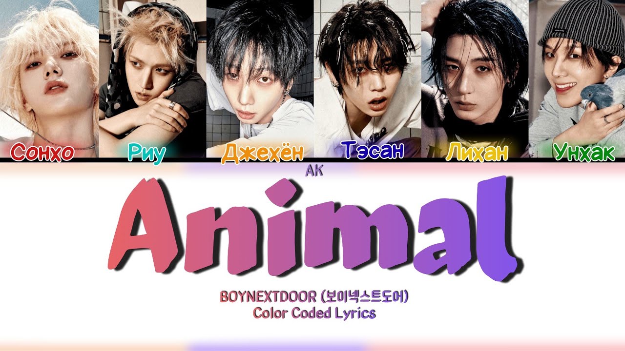 Boynextdoor - Animal ПЕРЕВОД НА РУССКИЙ Color Coded Lyrics Han_Cyrill_Rus  AK