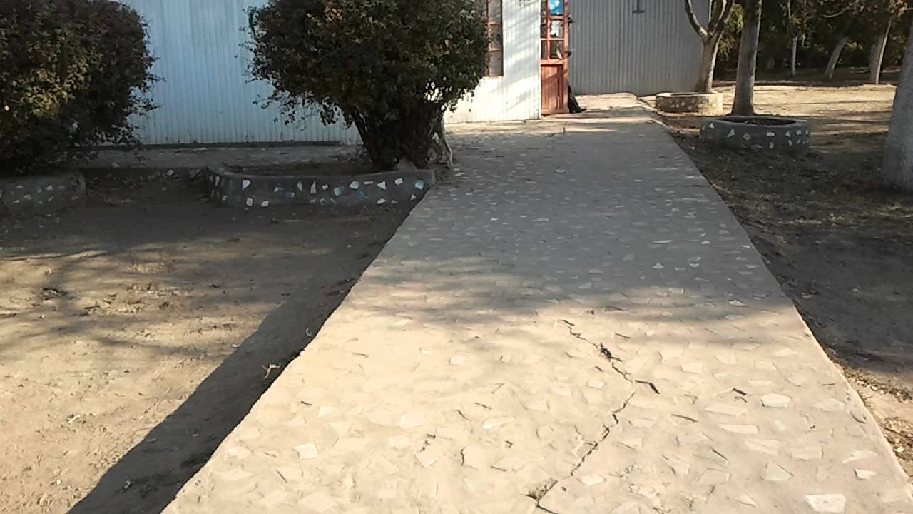 Заблудился в одном кусте....